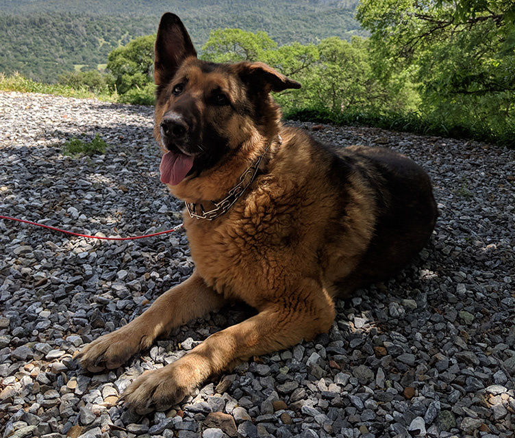 Kaia